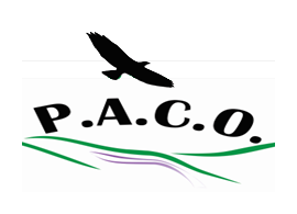 Paulden Area Community Organization